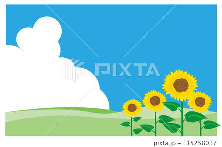 入道雲とひまわりの風景 115258017