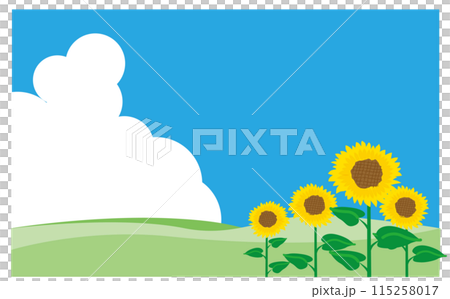 入道雲とひまわりの風景 115258017
