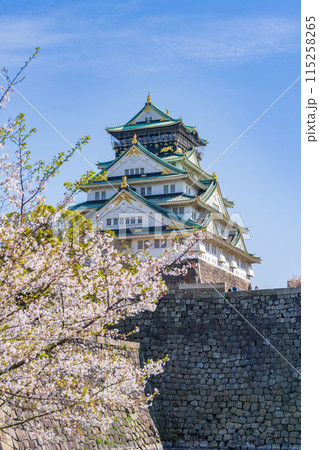 【春の大阪城公園】大阪城天守閣と桜 【春の大阪城公園】大阪城天守閣と桜 115258265
