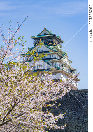 【春の大阪城公園】大阪城天守閣と桜 115258266
