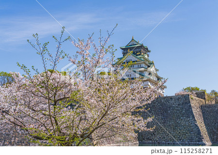 【春の大阪城公園】大阪城天守閣と桜 115258271