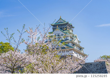 【春の大阪城公園】大阪城天守閣と桜 【春の大阪城公園】大阪城天守閣と桜 115258285