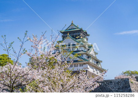 【春の大阪城公園】大阪城天守閣と桜 【春の大阪城公園】大阪城天守閣と桜 115258286