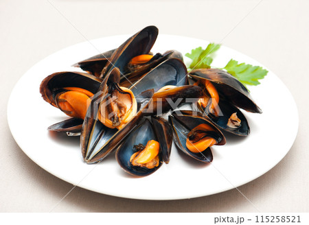 Mussels Mussels 115258521