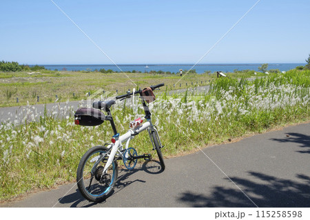 海の見えるサイクリングロード 115258598