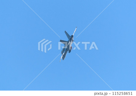 スイス空軍F/A-18Cホーネットの旋回 115258651