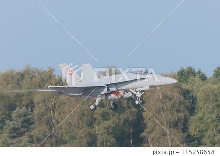 着陸するスイス空軍F/A-18Cホーネット 115258658