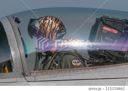 スイス空軍F/A-18Cホーネット 115258662