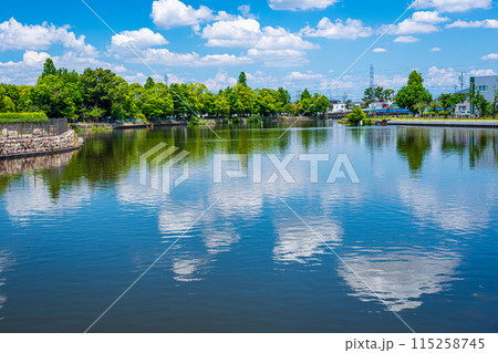 青空が広がる新緑の若葉との映り込みが美しい 115258745