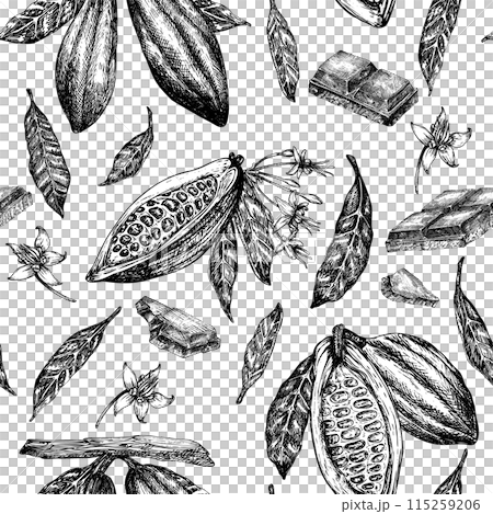 Seamless pattern with cocoa fruit and chocolate graphic illustration, hand drawn sketch of vegetable, leaves, flowers. Botanical drawing of tropical fruit. Engraving for food packaging design 115259206