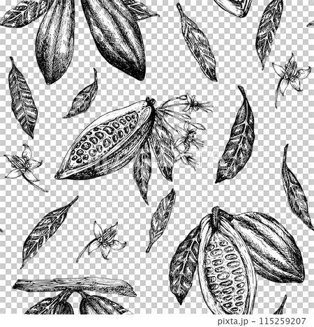 Seamless pattern with cocoa fruit graphic illustration, hand drawn sketch of vegetable, leaves, flowers. Botanical drawing of tropical fruit. Engraving for food packaging design 115259207