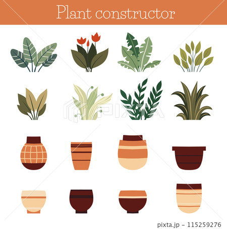 Vector set of flat home plants and clay pots isolated from background. Cozy plants and vases constructor. 115259276