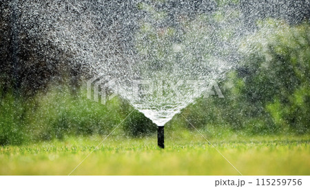 Sprinkler system irrigating a vibrant green lawn on a bright day. Sprinkler system irrigating a vibrant green lawn on a bright day. 115259756