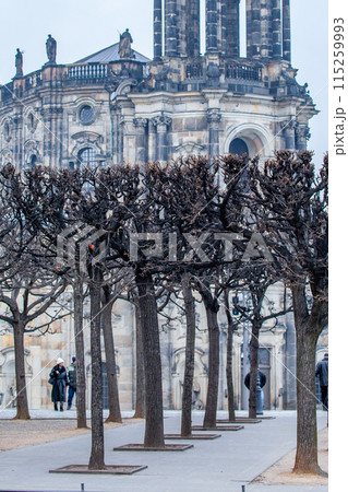 ドレスデン 115259993