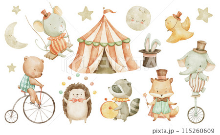 Circus cute animals, watercolor illustrations set for nursery and kids. Woodland baby animals Circus cute animals, watercolor illustrations set for nursery and kids. Woodland baby animals 115260609