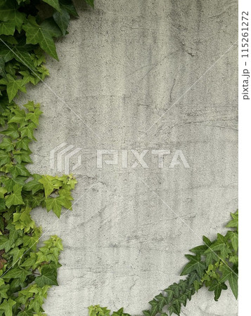 ツタの這う壁 115261272