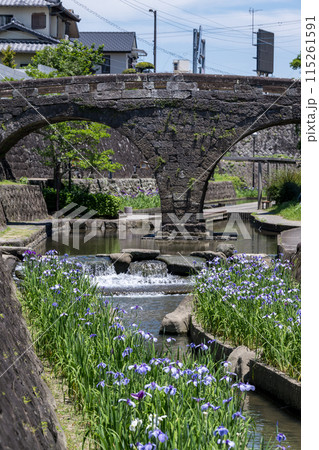 玉名の花スポット裏高瀬川に咲く花肥後菖蒲の風景 玉名の花スポット裏高瀬川に咲く花肥後菖蒲の風景 115261591