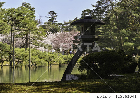 桜が満開の兼六園の春 桜が満開の兼六園の春 115262041
