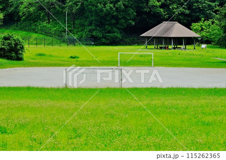 紫幹翠葉 小山田緑地公園 紫幹翠葉 小山田緑地公園 115262365