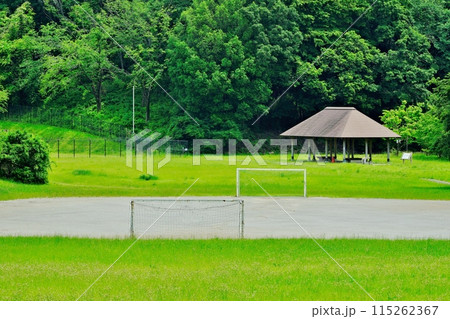 紫幹翠葉 小山田緑地公園 紫幹翠葉 小山田緑地公園 115262367