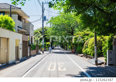 閑静な住宅街 成城 閑静な住宅街 成城 115262387