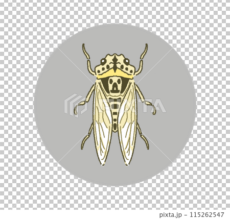 Illustration material of Niini Cicada Icon 115262547