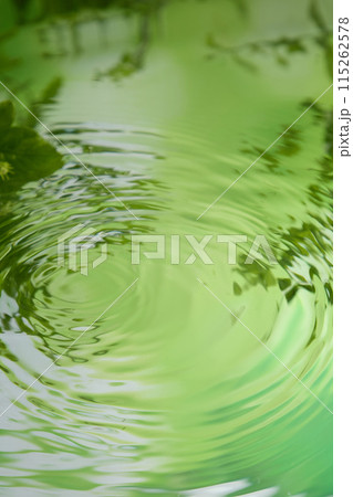 Photo taken from above on a lake surface with clear green color of leaves, with a few ripples. Minimalist style with green tones, empty space for product presentation 115262578