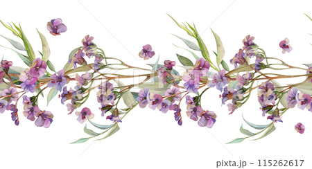 Hand drawn watercolor illustration shabby boho botanical flowers. Bergenia lungwort angelonia heliotrope, sea lavender. Willow eucalyptus. Seamless banner isolated on white. Design wedding, love cards Hand drawn watercolor illustration shabby boho botanical flowers. Bergenia lungwort angelonia heliotrope, sea lavender. Willow eucalyptus. Seamless banner isolated on white. Design wedding, love cards 115262617