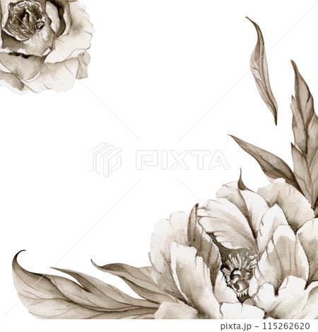 Hand drawn watercolor grisaille monochrome peony tulip rose flowers, buds and leaves. Border frame isolated on white background. Invitations, wedding or greeting cards, floral shop, print, textile Hand drawn watercolor grisaille monochrome peony tulip rose flowers, buds and leaves. Border frame isolated on white background. Invitations, wedding or greeting cards, floral shop, print, textile 115262620