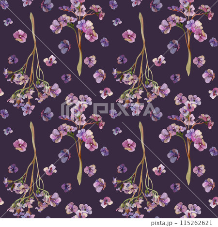 Hand drawn watercolor illustration boho botanical flowers leaves. Bergenia lungwort angelonia bacopa heliotrope, sea lavender. Seamless pattern isolated on dark background. Design wedding, love cards 115262621