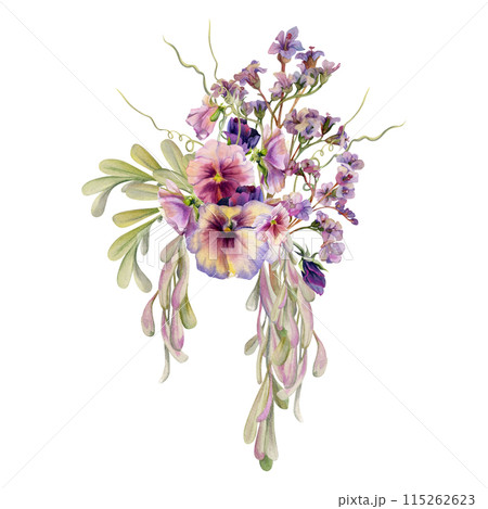 Hand drawn watercolor illustration botanical flowers leaves. Mauve pansy viola, bergenia heliotrope lungwort, locust indigo, ash maple keys, tendrils. Bouquet isolated on white. Design wedding, cards Hand drawn watercolor illustration botanical flowers leaves. Mauve pansy viola, bergenia heliotrope lungwort, locust indigo, ash maple keys, tendrils. Bouquet isolated on white. Design wedding, cards 115262623