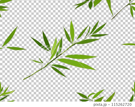 Bamboo leaf Bamboo leaf 115262720