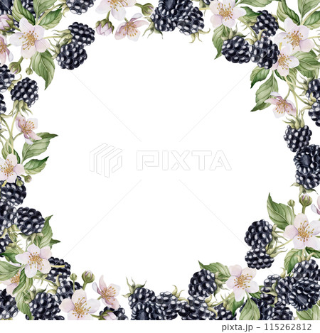 Blackberry frame with flowers and leaves. Watercolor isolated illustration for table textile, porcelain tableware and delicious prints, summer fabrics, wrapping paper, food packages, label, logo Blackberry frame with flowers and leaves. Watercolor isolated illustration for table textile, porcelain tableware and delicious prints, summer fabrics, wrapping paper, food packages, label, logo 115262812