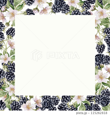Blackberry frame with flowers and leaves. Watercolor isolated illustration for table textile, porcelain tableware and delicious prints, summer fabrics, wrapping paper, food packages, label, logo 115262818
