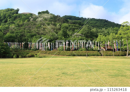 鯉のぼりがはためく、千曲市森将軍塚古墳館　科野の村　復元住居 115263418