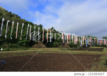 鯉のぼりがはためく、千曲市森将軍塚古墳館 科野の村 復元住居 鯉のぼりがはためく、千曲市森将軍塚古墳館 科野の村 復元住居 115263427