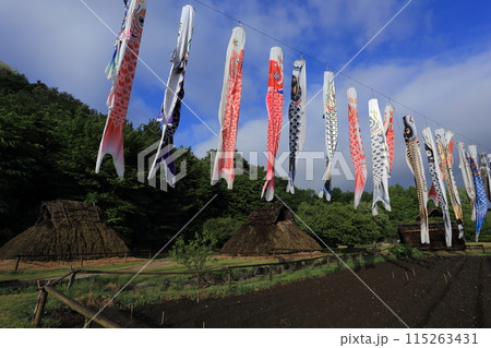 鯉のぼりがはためく、千曲市森将軍塚古墳館　科野の村　復元住居 115263431