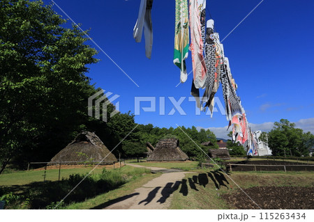 鯉のぼりがはためく、千曲市森将軍塚古墳館　科野の村　復元住居 115263434