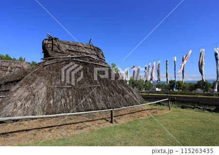 鯉のぼりがはためく、千曲市森将軍塚古墳館 科野の村 復元住居 鯉のぼりがはためく、千曲市森将軍塚古墳館 科野の村 復元住居 115263435