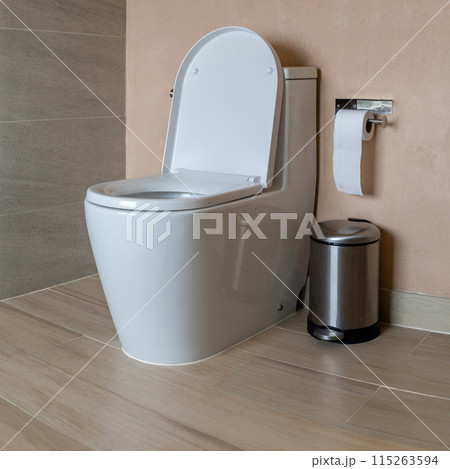 clean bathroom with a toilet bowl and toilet paper 115263594