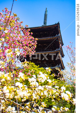 【京都風景】仁和寺　御室桜に五重塔はお似合い 115263618