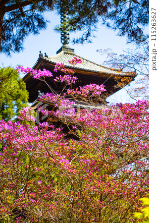 【京都風景】仁和寺 御室桜に五重塔はお似合い 【京都風景】仁和寺 御室桜に五重塔はお似合い 115263627