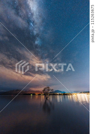 Milky way over Willow tree in the night at Lake Wanaka 115263675