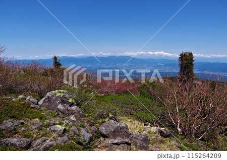 長野県立科町にある蓼科山から見る浅間山の風景 115264209