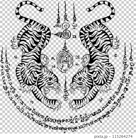 Thai traditional tattoo, two tigers (Sueu Khu). vector file for various tasks 115264274
