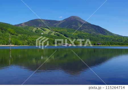 長野県立科町にある蓼科山と女神湖の風景 115264714