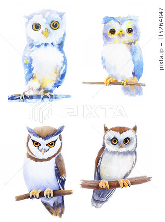 アナログタッチ、手描き風の梟、ワシミミズク、フクロウのイラストセット　AI生成画像　 115264847