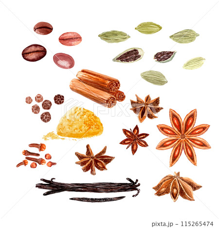 Clove spice, cinnamon, coffee, star-anis, cardamom, black pepper, vanilla, turmeric watercolor set isolated on white, hand drawn for food design. Great for spice box, menu, recipes, organic food ads 115265474
