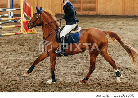 show jumping sports events man rider on brown horse show jumping sports events man rider on brown horse 115265679