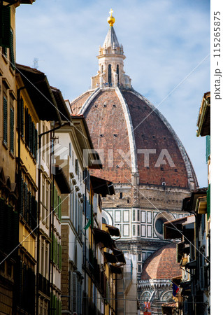 イタリアのフィレンツェのきれいな街並みの景色 115265875